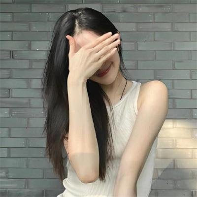 海鸥