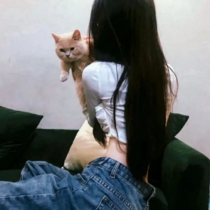 偷车贼